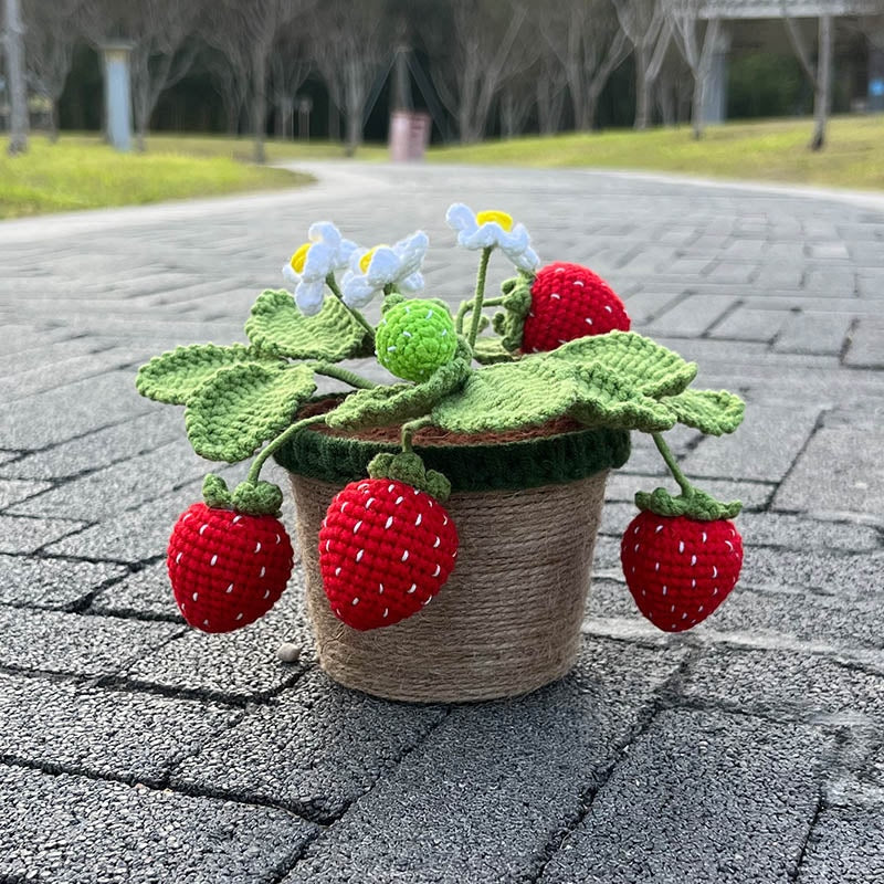 Plantes de fraises au crochet