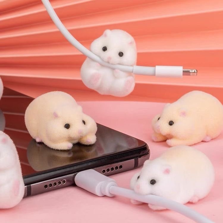 Morsures de câble de hamster